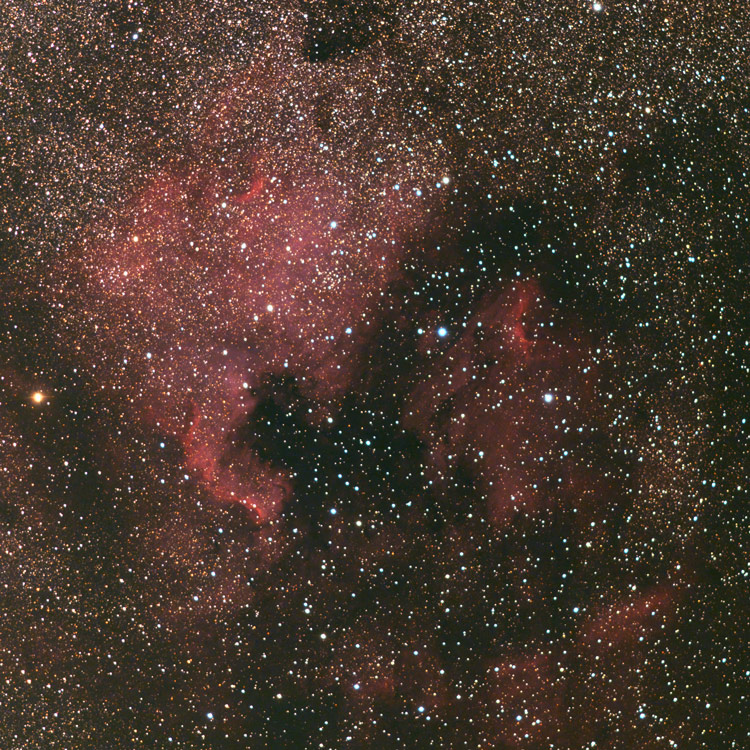 NGC 7000 и IC 5070